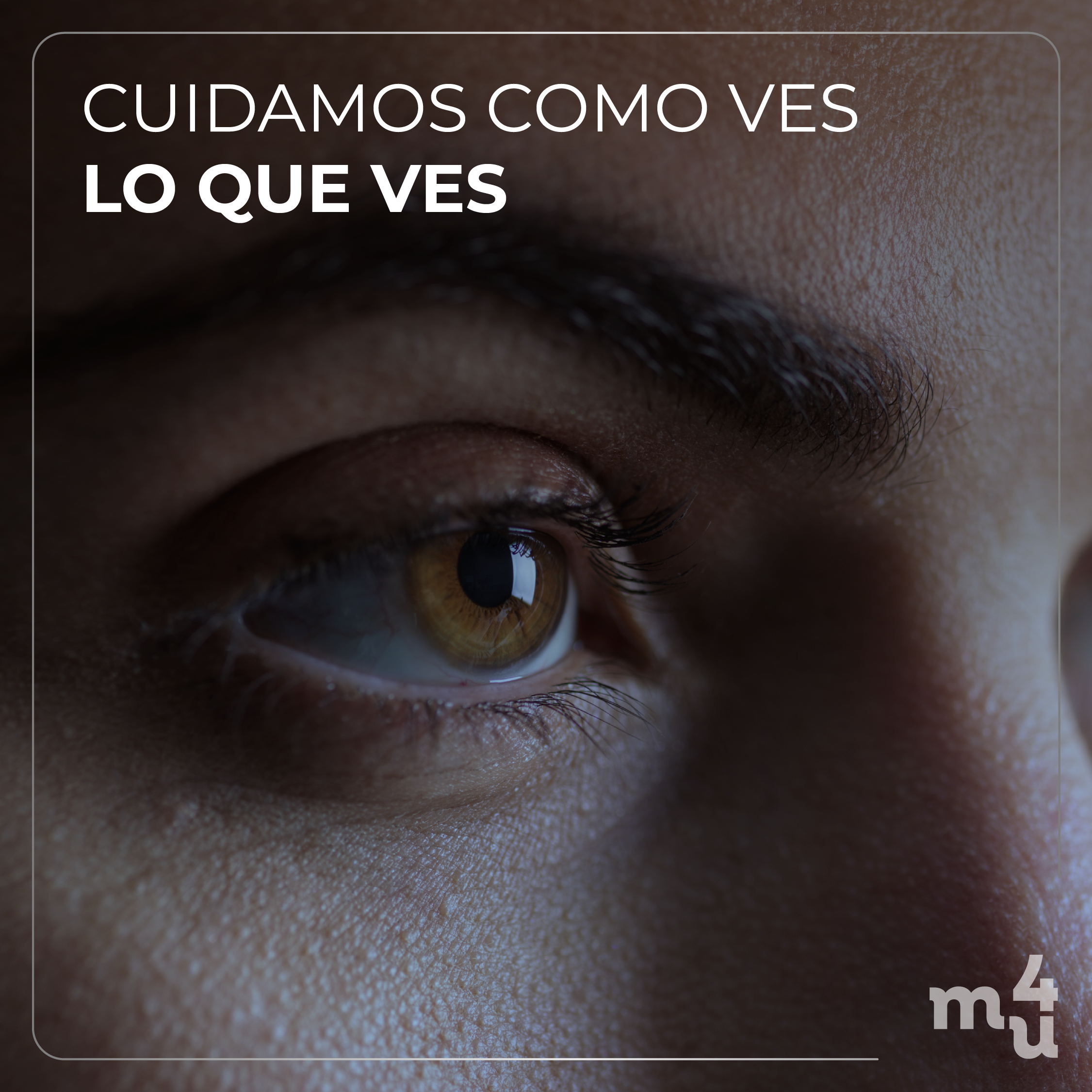 Ver claro, ver bien, ver siempre.